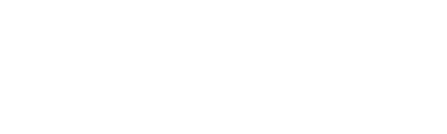 Bora Logo
