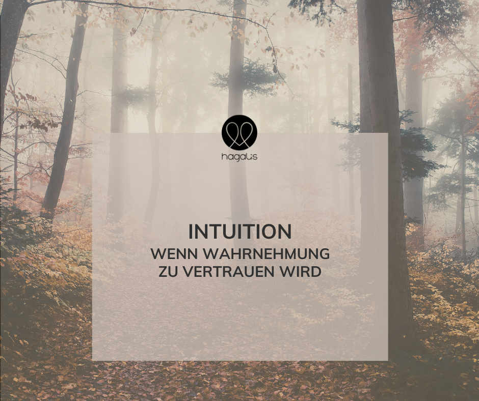Bäume im Nebel und Textfeld: Intuition und warum wir ihr oft nicht vertrauen