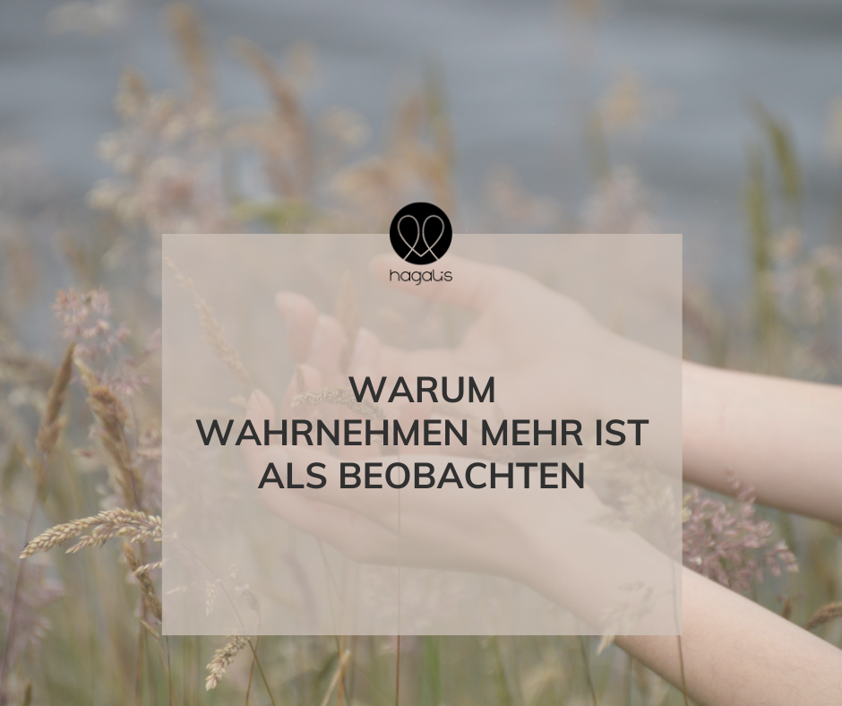 Frauenhände, die ruhig über Gräsern ruhen und dem Text: warum wahrnehmen mehr ist als beobachten