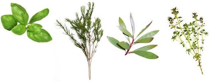 Aromathérapie : verrues