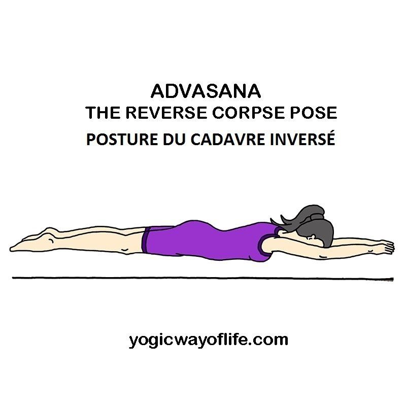 Advasana - la posture du cadavre inversé - the reverse corpse pose