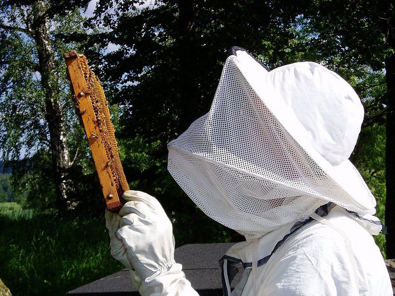 Formation en APICULTURE