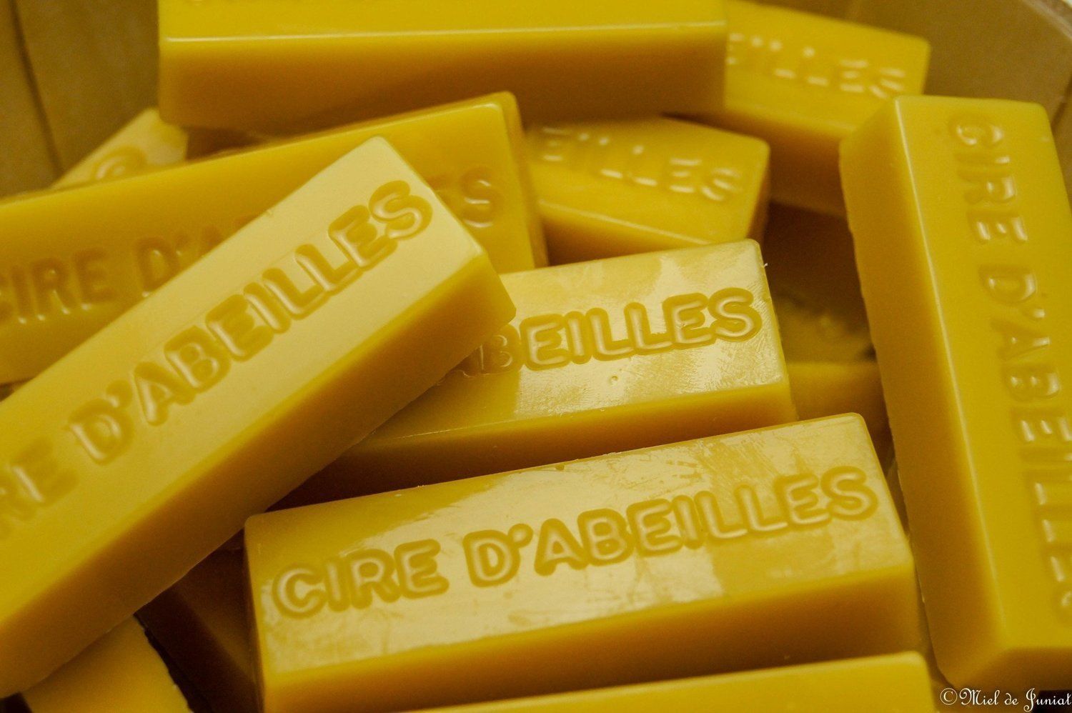 Formation en APICULTURE