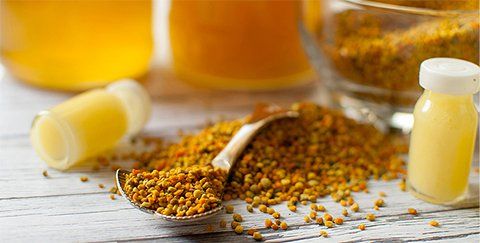 Formation en APICULTURE