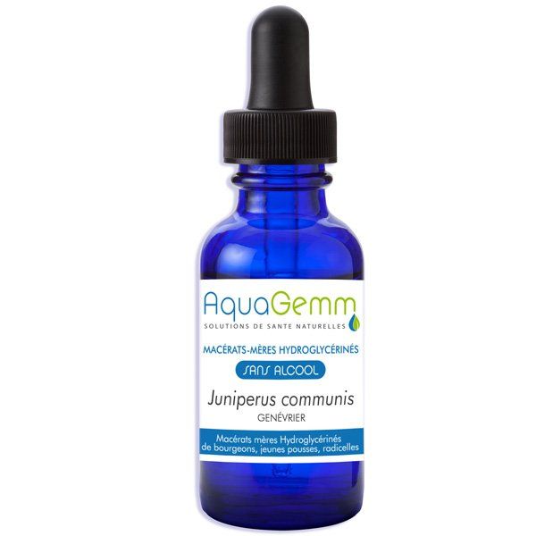 GEMMO DETOX - Genévrier - Noyer - Romarin