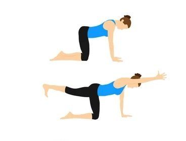 Bharmanasana - La posture de la table - The Table Top Pose