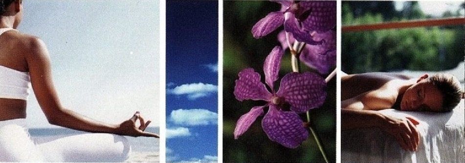 Formations aux Métiers du Bien-Etre