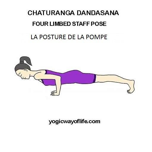 Chaturanga Dandasana - la posture de la pompe - the four limbed staff pose