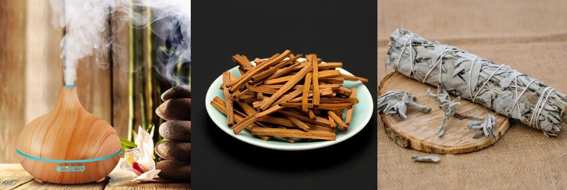 Les bienfaits des plantes