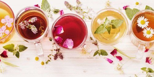 DETOX Scandinave BIO