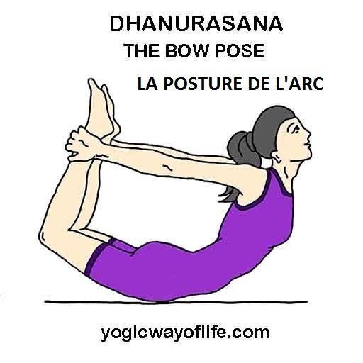 Dhanurasana - la posture de l'arc - the bow pose