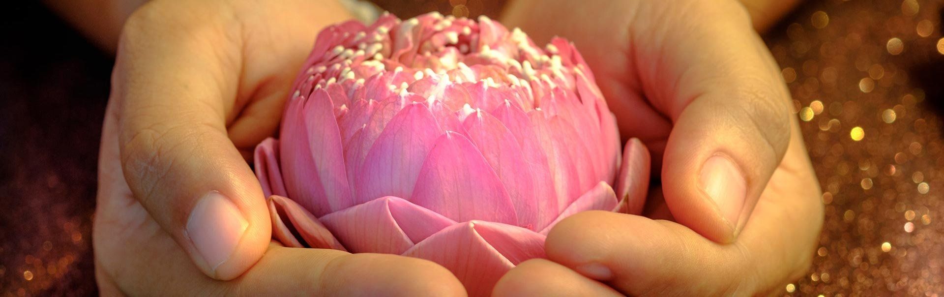 Réservez VOTRE séance en SANTE NATURELLE