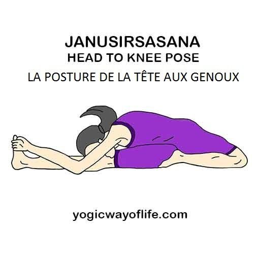 Janu Sirsasana - la posture de la tête au genou