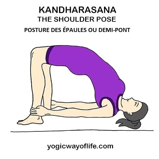 Kandharasana - la posture des éapules ou du demi-pont - the shoulder pose