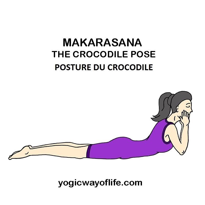 Makarasana - la posture du crocodile - the crocodile pose