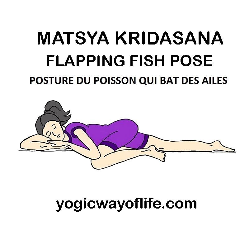 Matsya Kridasana - la posture du poisson qui bat des ailes