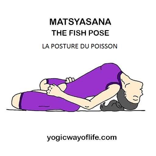 Matsyasana - la posture du poisson - the fish pose
