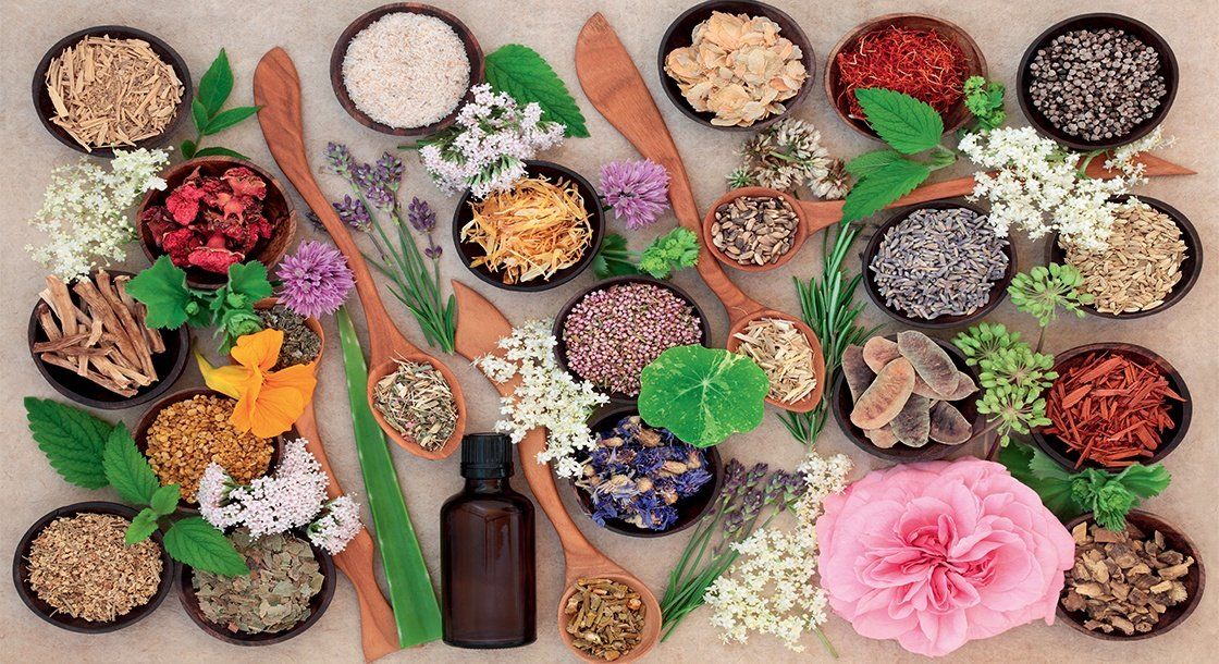 Devenez NATUROPATHE certifié-e