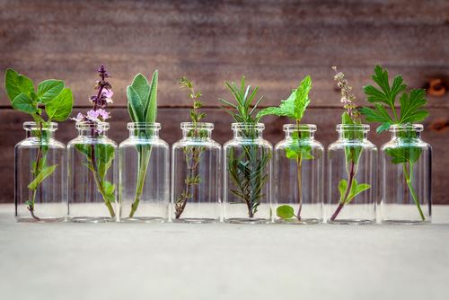 Formation certifiante en NATUROPATHIE : Naturopathie holistique : une approche globale de la santé et du bien-être Formation certifiante en NATUROPATHIE : Naturopathie holistique : une approche globale de la santé et du bien-être