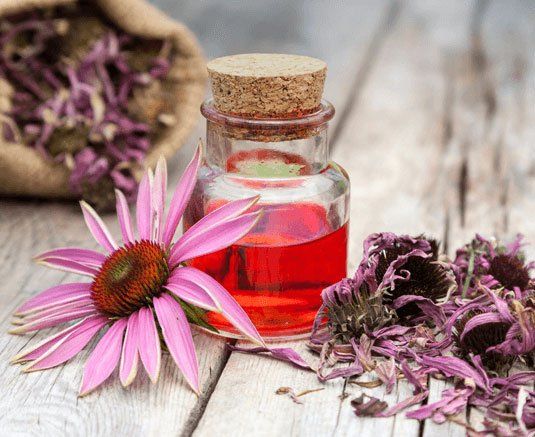 Formation certifiante en NATUROPATHIE : Vivre mieux et en bonne santé avec la Naturopathie Formation certifiante en NATUROPATHIE : Vivre mieux et en bonne santé avec la Naturopathie