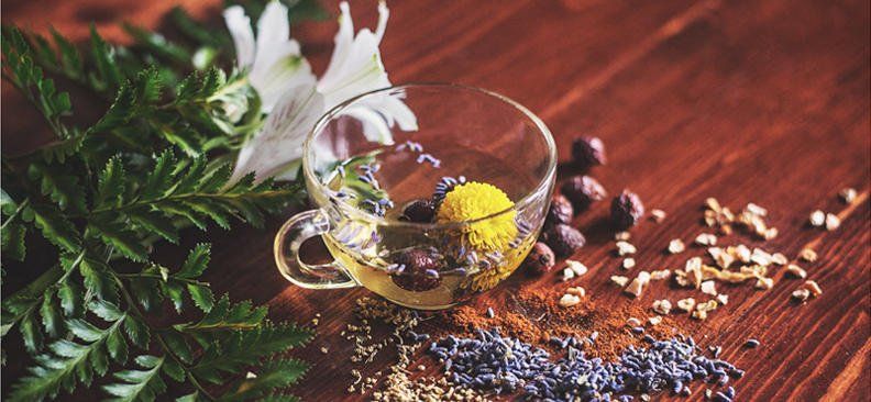 Formation Certifiante en NATUROPATHIE