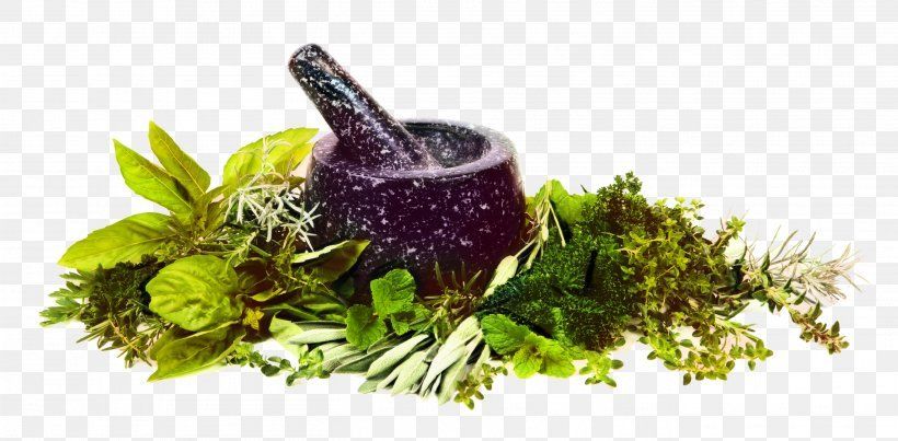 Formation Certifiante en NATUROPATHIE : Module 9 Formation Certifiante en NATUROPATHIE : Module 9