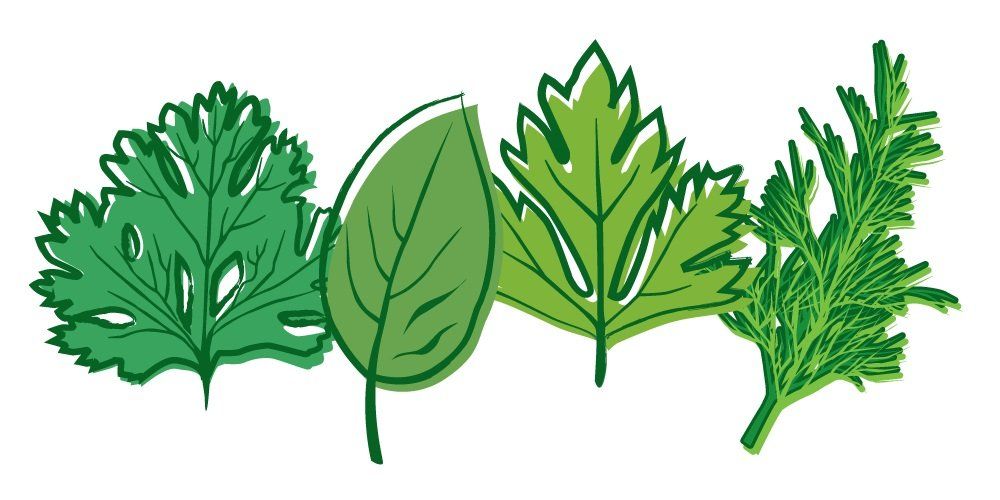 Formation Certifiante en NATUROPATHIE : Module 6 Formation Certifiante en NATUROPATHIE : Module 6