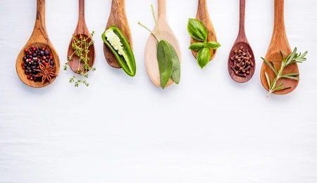 Formation Certifiante en NATUROPATHIE : Module 2 Formation Certifiante en NATUROPATHIE : Module 2