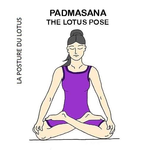 Padmasana - la posture du lotus - the lotus pose