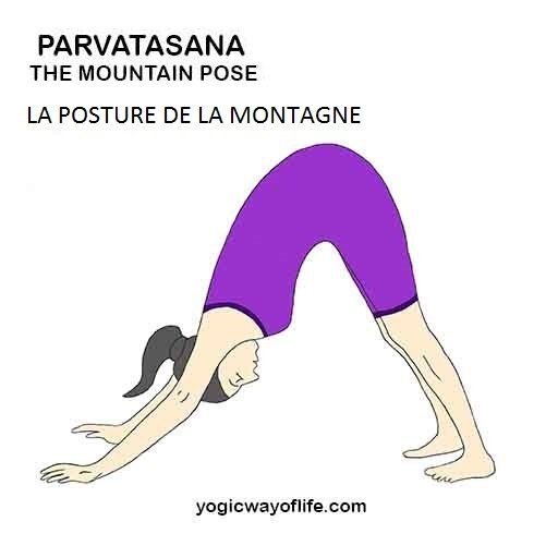 Parvatasana - la posture de la montagne - the mountain pose