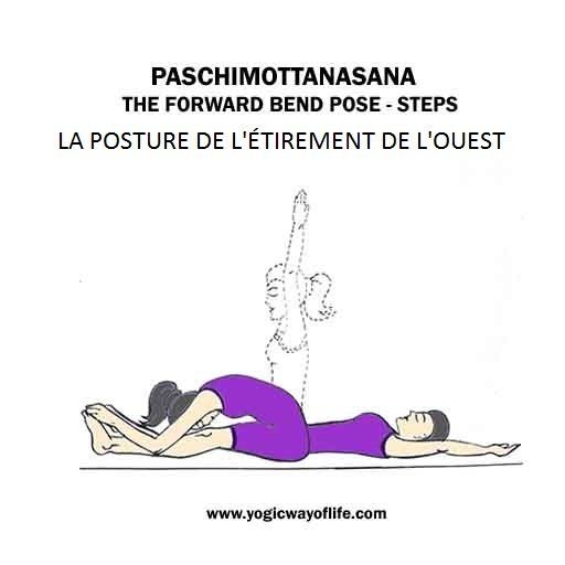 Paschimottanasana - la posture de l'étirement du dos - the forward bend pose - étapes