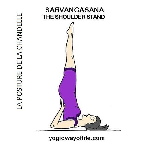Sarvangasana - la posture de la chandelle - the shoulder stand pose