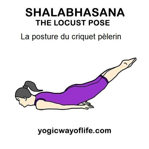 Trikonasana - la posture du triangle - the triangle pose