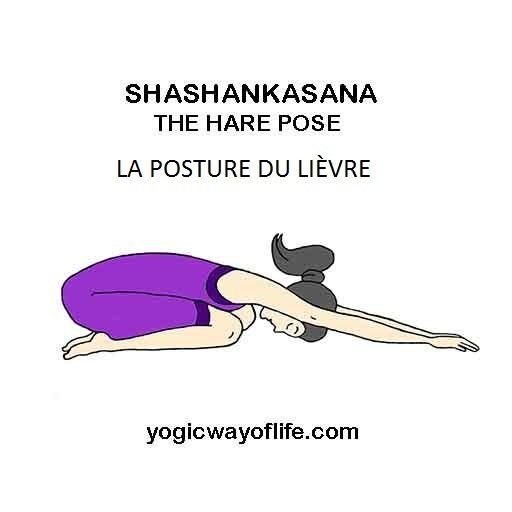 Shashankasana - la posture du lièvre - the hare pose