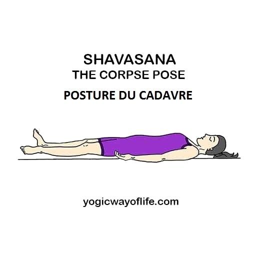 Shavasana - la posture du cadavre - the corpse pose