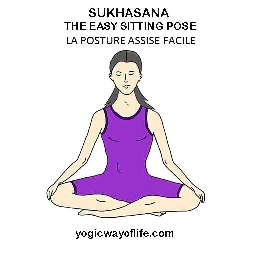 Sukhasana - la posture assise facile  - the easy sitting  pose