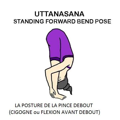 Uttanasana - la posture de la pince debout - the standing forward bend pose
