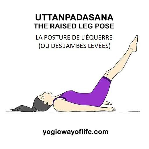 Uttanpadasana - la posture de l'équerre (jambes levées) - the raised legs poseose