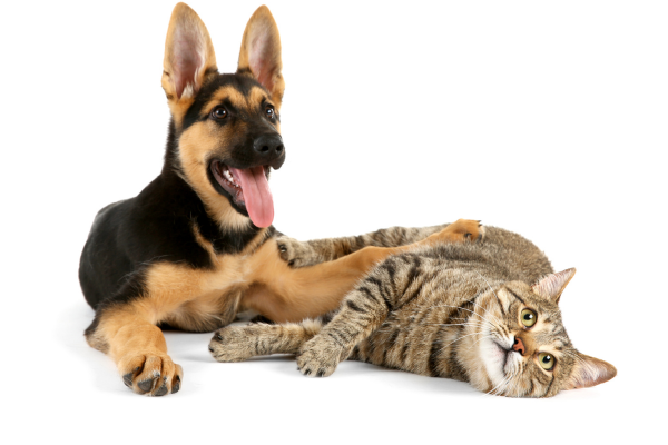 Allianz spielt sich als Beschützer auf und bevormundet PKV-Kunden