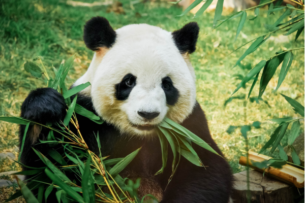 DVAG provisionshungriger Strukturvertrieb?