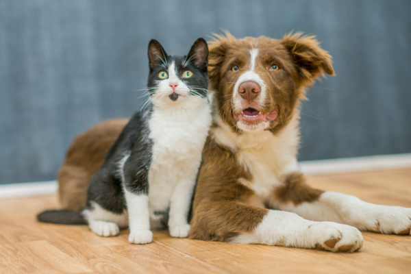 PKV Tarifwechsel Fehler