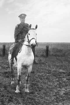 Restored black and white photo of a soldier on horseback in a field