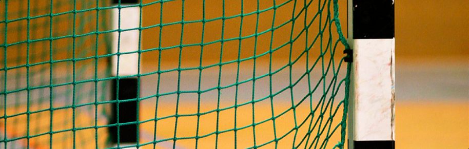 Handballtor mit Netz
