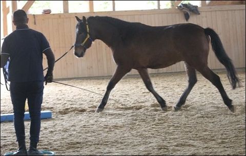 Stellen und biegen, außerhalb der Gassen Stellen und biegen, außerhalb der Gassen