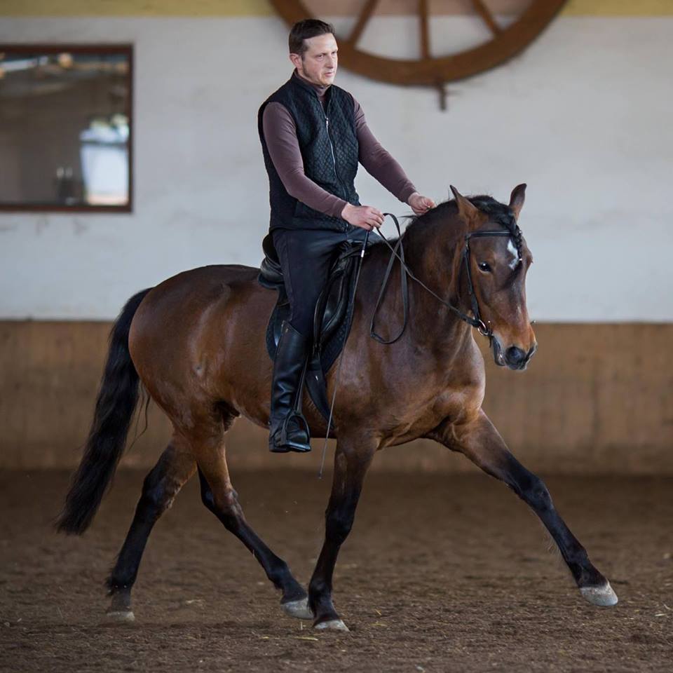 mit PRE Wallach Oporto mit PRE Wallach Oporto