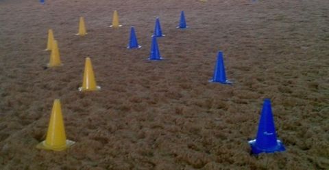 Pylonen-Doppel-S Pylonen-Doppel-S