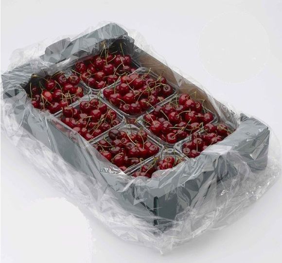 Bolsa Atmosfera Modificada