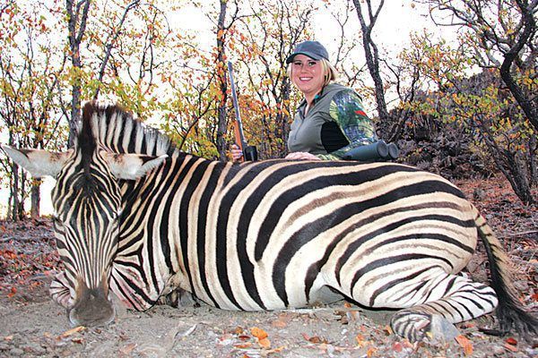 Best African Safaris | South Africa Hunting | Zebra