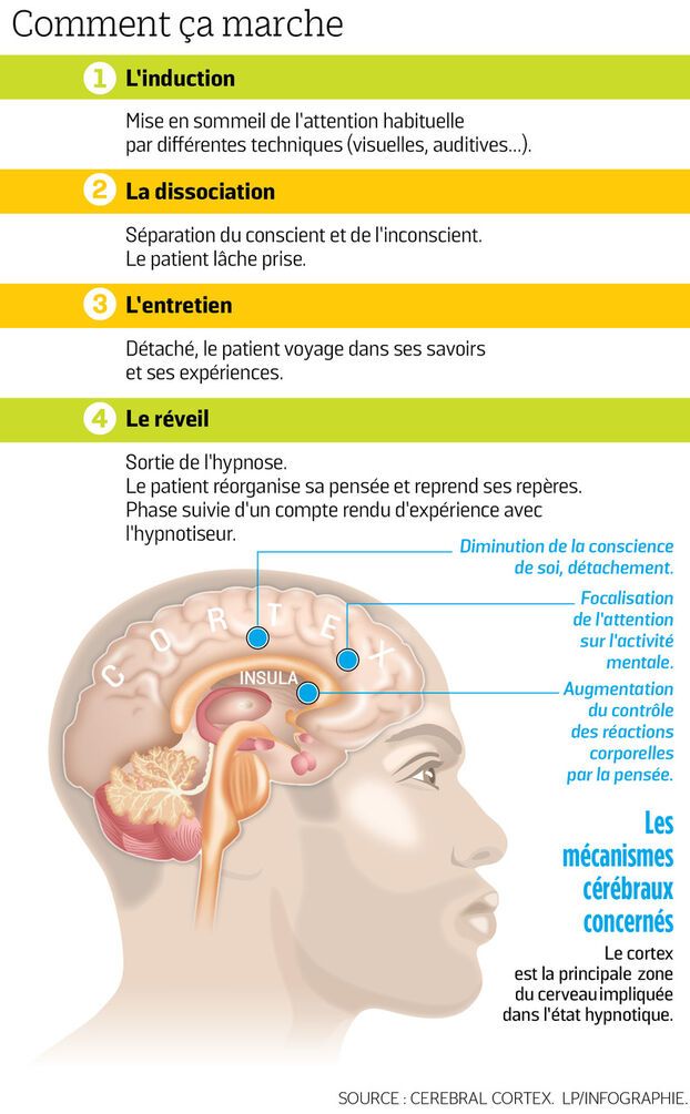 Hypnose Lyon fonctionnement cerveau hypnothérapie Lyon 3 hypnose thérapeutique Hypnose Ericksonienne Lyon