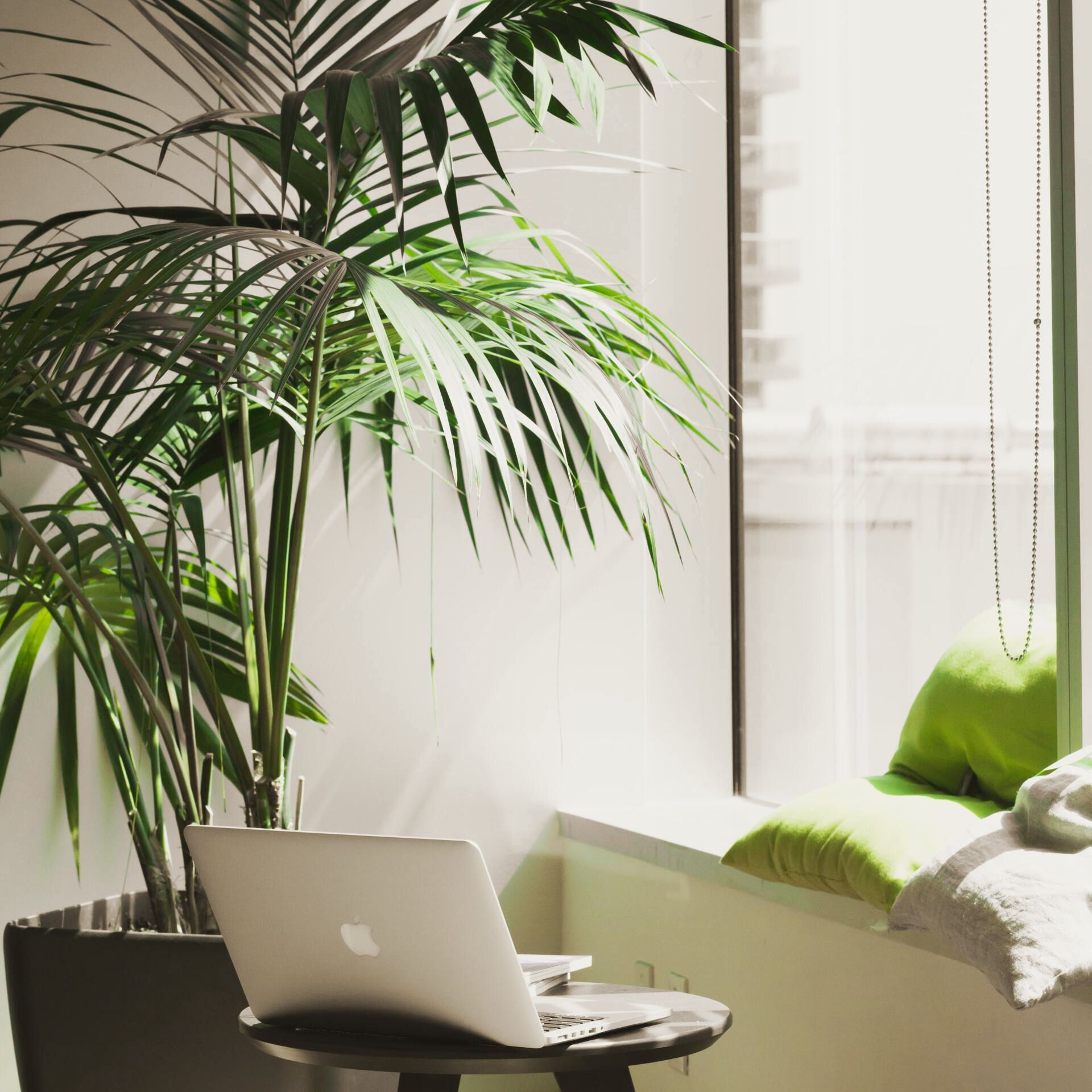 Dolmetschen in Deutscher Gebärdensprache Dolmetscher Gebärdensprache Daniel Günther